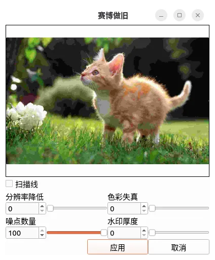 噪点